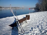 Winter an der Elbe in Magdeburg